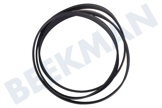 Ignis Waschmaschine Riemen 1204 PHE8