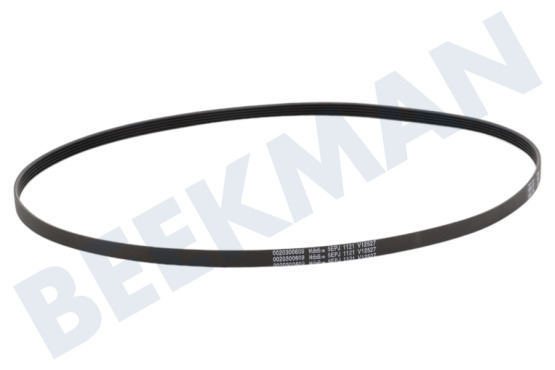 Haier Waschmaschine Riemen 1121EPJ5