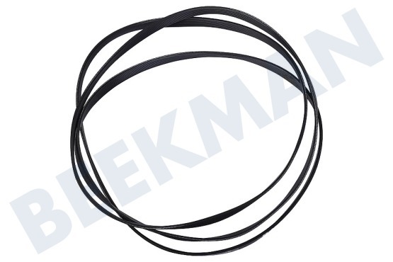 Fagor Trockner Riemen 1930 PH7