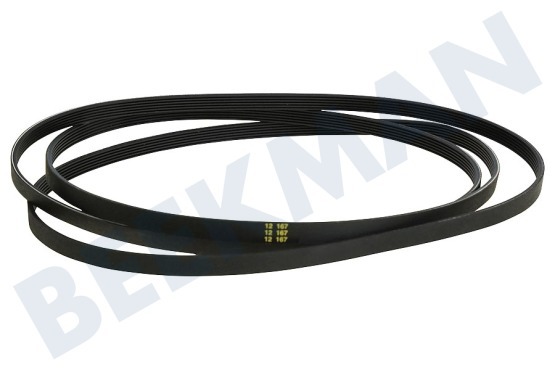 Brandt Trockner Riemen 6PH 1930 H6