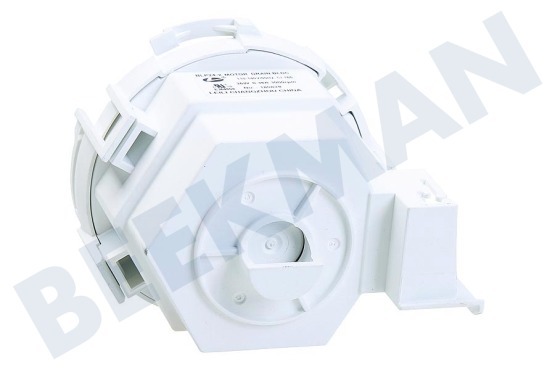 Alternative  Magnetpumpe