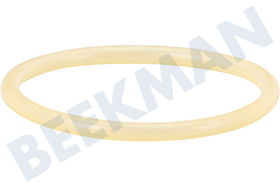 Bosch Spülmaschine Gummidichtung