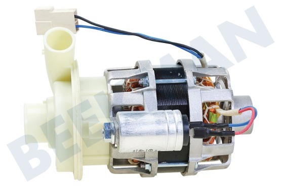 Etna Spülmaschine Zirkulationspumpe mit Kondensator