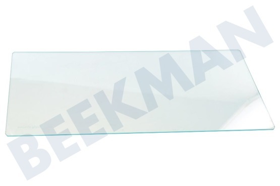 Rex Kühlschrank Kühlfach Glasplatte