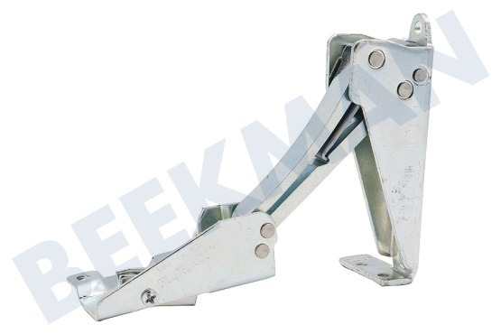 Indesit Kühlschrank 144877, C00144877 Scharnier Technic rechts oben/links unten
