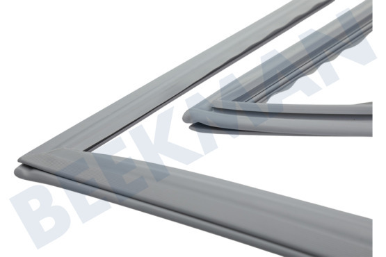 Balay Kühlschrank 00773566 Türgummi