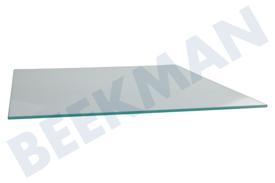 Neff Kühlschrank 743202, 00743202 Glasplatte Ablagefach