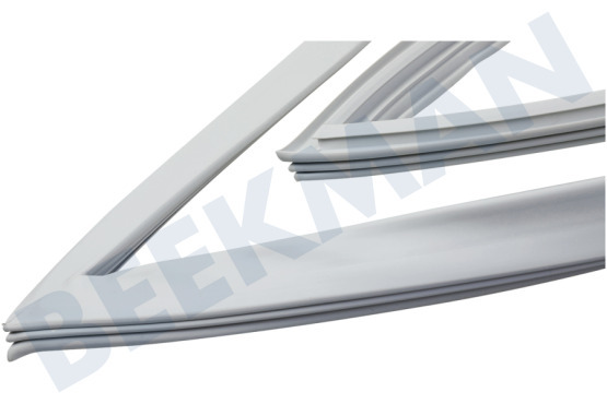 Grundig Kühlschrank 4669523000 Magnetdichtung