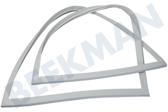 Grundig Kühlschrank 4669523000 Magnetdichtung