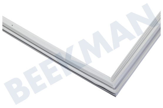 Friac de luxe Kühlschrank Türgummi