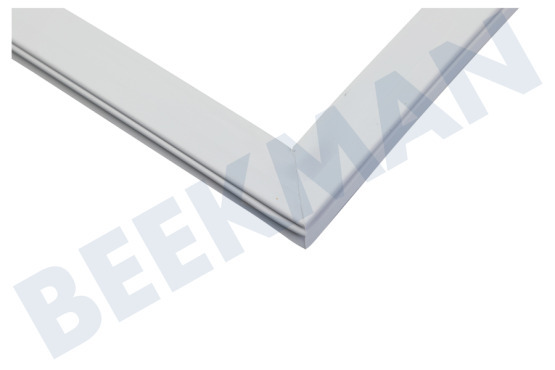 Friac de luxe Kühlschrank Türgummi