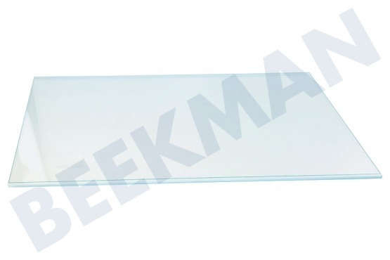 Essentielb Kühlschrank Glasplatte Ablageplatte (ohne Leisten)