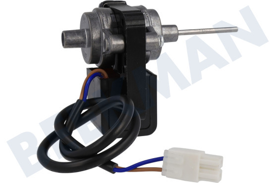 Beko Kühlschrank Motor vom Ventilator