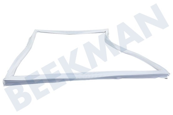 Privileg Kühlschrank 162630 Türdichtung