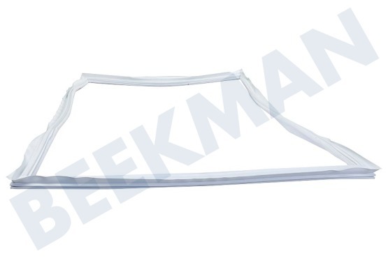 Privileg Kühlschrank 162630 Türdichtung