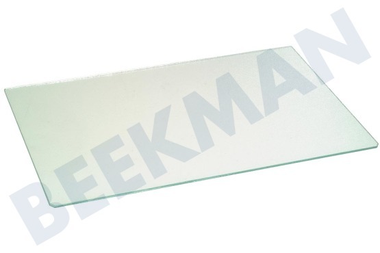 Bauknecht Kühlschrank Glasplatte 473 x 305 mm aus Plexiglas