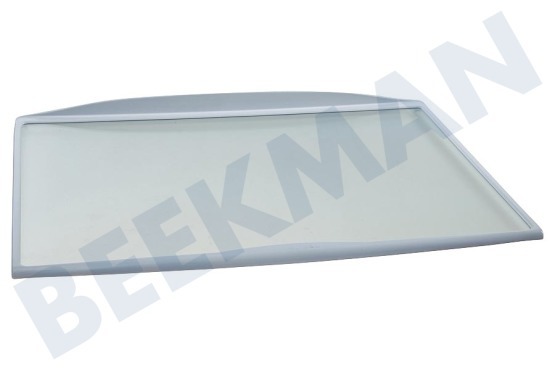 Bauknecht Kühlschrank Glasplatte komplett mit Rand, 460x310mm