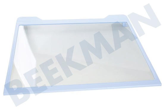 Samsung Kühlschrank DA67-04253A Glasplatte R54000K