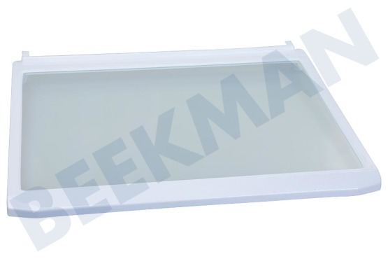 Samsung Kühlschrank DA67-03366A Glasplatte komplett