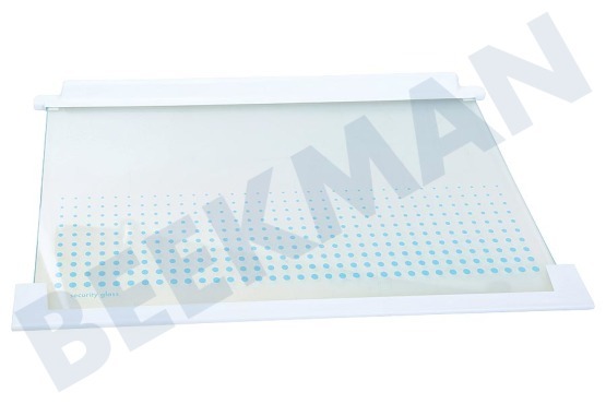 Zanussi Kühlschrank Glasplatte 475x310mm, Glasplatte Inkl. Schutzränder