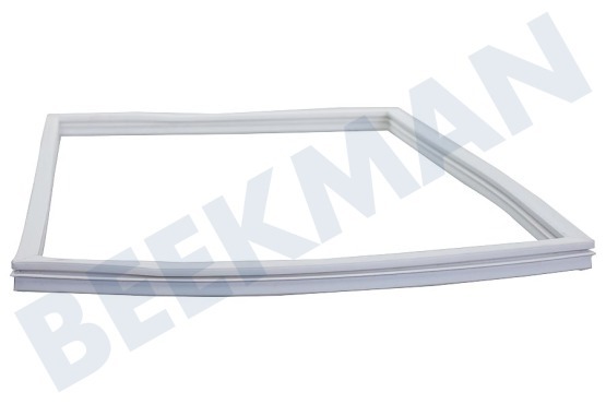 Sibir (n-sr) Kühlschrank 292261300 Gummidichtung, Weiß