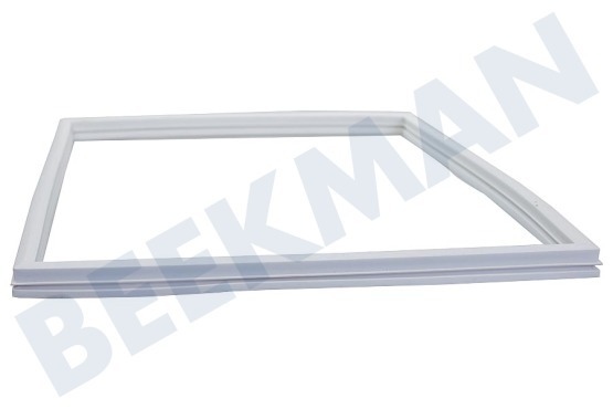 Sibir (n-sr) Kühlschrank 292261300 Gummidichtung, Weiß