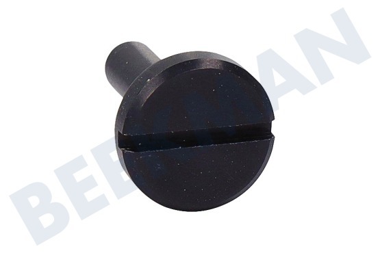 Unknown  Bolzen des Gitters