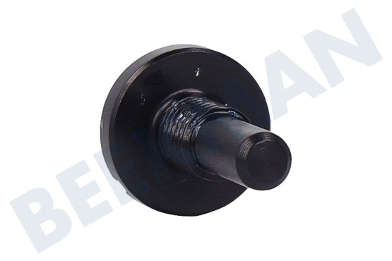 Unknown  Bolzen des Gitters