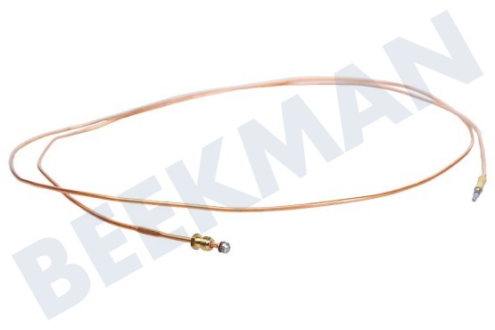 Dometic Kühlschrank Thermoelement 2000mm