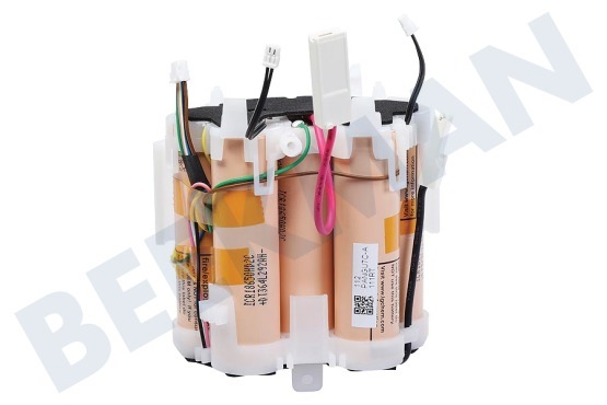 Electrolux Staubsauger Akku Batterie komplett, 25,2 Volt