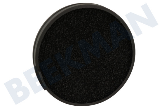 Philips  Filter Schaumstofffilter