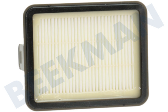 Rowenta Staubsauger ZR904501 Filter