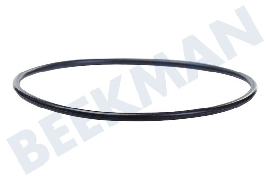 Karcher Hochdruck 9.080-425.0 Dichtung O-Ring hinter dem Zylinderkopf