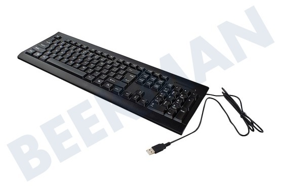 Ewent  EW3190 Business Keyboard USB / US-Layout