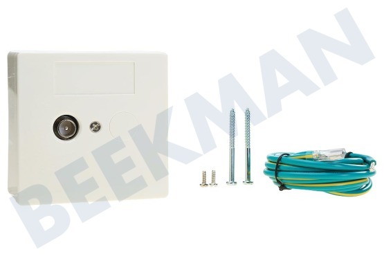 Braun Telecom  BTV 1 IEC-NL-SET (Ziggo) Steckdosen Signalübertragung Aufputz (SOP)