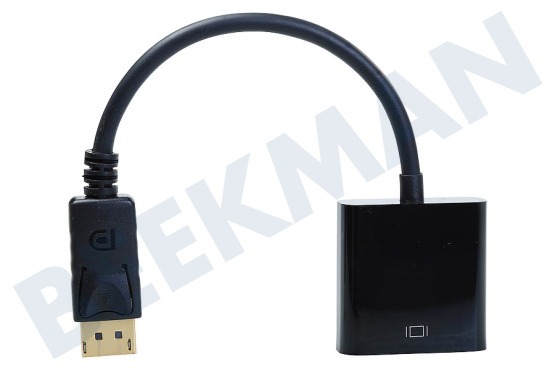 Easyfiks  Displayport zu VGA Adapterkabel 20 cm