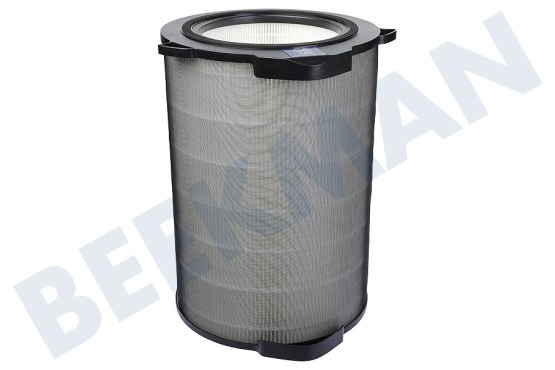 AEG  AFDCAR6 AX9 Care360 Ultimate Protection Filter