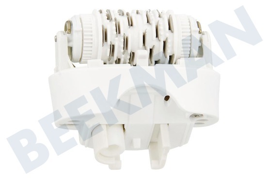 Braun  Scherkopf Epilation weiß