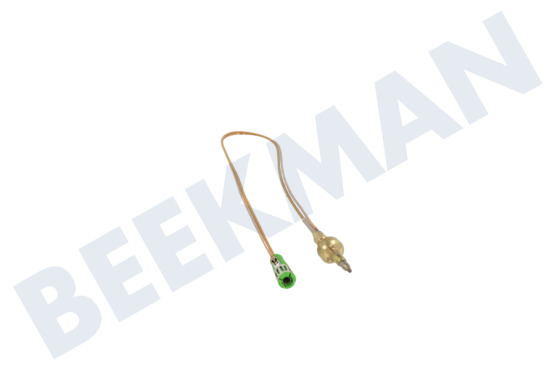 Gorenje Kochplatte Thermoelement