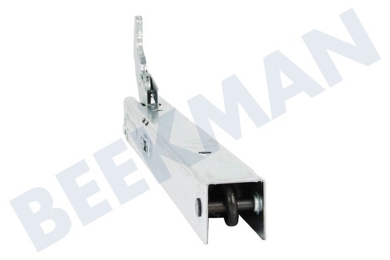 Bauknecht Ofen-Mikrowelle Scharnier Links/Rechts