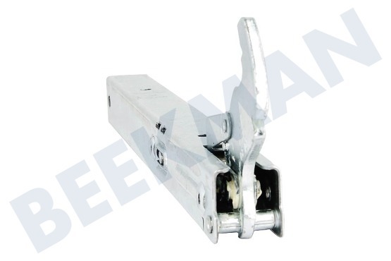 Bauknecht Ofen-Mikrowelle Scharnier Links/Rechts