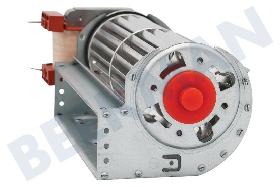 Smeg Ofen-Mikrowelle Kühlventilator