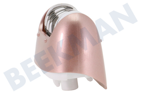 Carmen  Aufsatz Epilieren