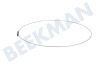 Spannring