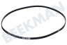 Zanussi Waschmaschine Keilrippenriemen 1195 PJE5