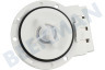 Electrolux Waschmaschine Pumpe Ablaufpumpe -Leili-