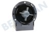 Philco Waschmaschine Ablaufpumpe
