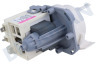 Electrolux Waschmaschine Pumpe Umwälzpumpe