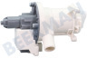 Indesit Waschmaschine Ablaufpumpe