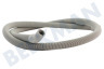 Hisense Waschmaschine Ablaufschlauch